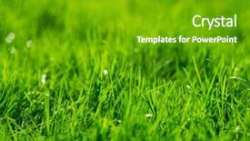  Presentation with texture - Beautiful slide set featuring grasses - grass background green grass texture backdrop and a shamrock green colored foreground