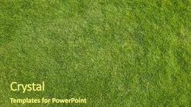  Presentation with green grass artificial top - Presentation design enhanced with grasses - green grass pattern image top background and a tawny brown colored foreground