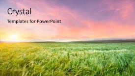  Presentation with china - Amazing slides having grassland in china backdrop and a lemonade colored foreground