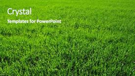  Presentation with area - Amazing theme having grassy area - background of a green grass backdrop and a tawny brown colored foreground