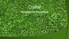  Presentation with area - Audience pleasing PPT layouts consisting of grassy area - background of a green grass backdrop and a  colored foreground