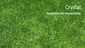  Presentation with green lawn - PPT theme featuring grassy area - texture green lawn background and a forest green colored foreground