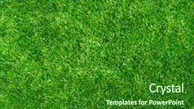  Presentation with green lawn - Audience pleasing PPT theme consisting of traditional czech cake with plums and prunes with milk backdrop and a violet colored foreground