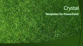  Presentation with green watercolor paper texture - PPT theme having grassy area - texture green lawn background and a forest green colored foreground