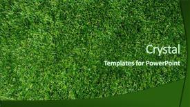  Presentation with green abstract leaves texture - Audience pleasing PPT theme consisting of grassy area - texture green lawn backdrop and a  colored foreground