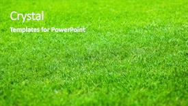  Presentation with area - Beautiful slide set featuring grassy area - young grass or lawn backdrop and a shamrock green colored foreground