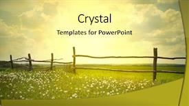  Presentation with meadow - Amazing slide set having dandelions in meadow during sunset backdrop and a  colored foreground