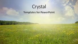  Presentation with meadow - PPT theme with green meadow under blue sky background and a light blue colored foreground