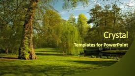  Presentation with green lake - Amazing slide deck having  backdrop and a  colored foreground