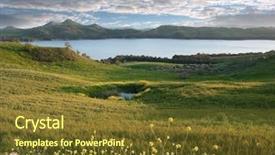  Presentation with yellow green - Colorful PPT theme enhanced with grassy meadow - idyllic landscape of yellow flowers backdrop and a tawny brown colored foreground