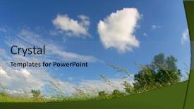  Presentation with summer trees - PPT theme consisting of grassy field on windy summer background and a  colored foreground