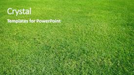  Presentation with area - Beautiful presentation theme featuring grassy field backdrop and a  colored foreground