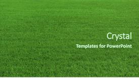  Presentation with beautiful green - Colorful slide deck enhanced with grassy meadow - background of beautiful green grass backdrop and a forest green colored foreground