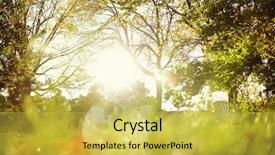  Presentation with microwave imaging image of modern - Amazing presentation having grassy meadow - blurred image of sunlight shining backdrop and a yellow colored foreground