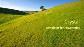  Presentation with remote - Amazing slide set having grassy meadow - grassland and remote tree backdrop and a gold colored foreground