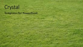  Presentation with green lawn - Amazing presentation having grassy meadow - green lawn fresh grass backdrop and a gold colored foreground