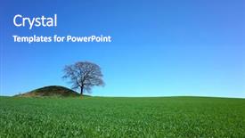  Presentation with green nature - Colorful presentation design enhanced with grassy meadow - perfect nature background fresh green backdrop and a teal colored foreground