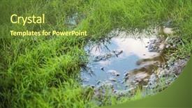  Presentation with green lawn - Slide deck enhanced with grassy yard lawn or park background and a tawny brown colored foreground