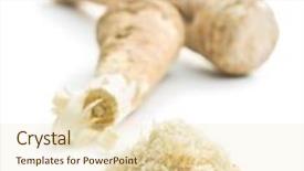  Presentation with root - Presentation design enhanced with grated horseradish root on white background background and a lemonade colored foreground