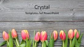  Presentation with gratitude - Presentation theme having jested tower and blue sky background and a ocean colored foreground.