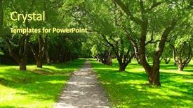  Presentation with green trees in park - Presentation theme featuring gravel path in a park background and a tawny brown colored foreground