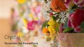  Presentation with cemetery - Cool new PPT theme with graves with flowers on a wall of a european cemetery vercelli italy europe backdrop and a coral colored foreground