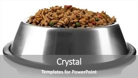  Presentation with dog food - Presentation theme having gray bols - dog food in metallic bowl background and a gray colored foreground