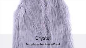  Presentation with white torn paper on gray - Colorful PPT layouts enhanced with gray fur vest isolated on white backdrop and a light blue colored foreground