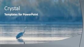  Presentation with world heritage - Presentation having gray-heron-ardea-cinerea and a teal colored foreground