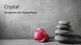  Presentation with flower vintage - Amazing slide deck having gray pink - zen stones and magnolia flower backdrop and a light gray colored foreground