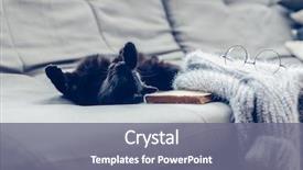  Presentation with winter scene - Slides having gray sofa winter or autumn background and a gray colored foreground