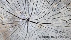  Presentation with wood gray - Slide set with gray-wooden-background-board-texture background and a  colored foreground