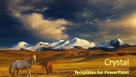  Presentation with grazing - Presentation theme having grazing horses at sunset plateau background and a tawny brown colored foreground