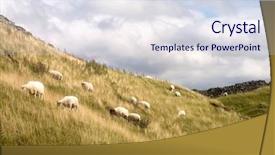  Presentation with spotted sheep - Cool new presentation with grazing sheep in yorkshire dales backdrop and a  colored foreground