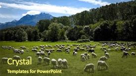  Presentation with grazing - Presentation theme featuring group portrait of young people in recycling symbol t-shirts with donation box over white background background and a light gray colored foreground.