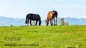  Presentation with grazing - Colorful slides enhanced with grazing under the mountain backdrop and a gold colored foreground