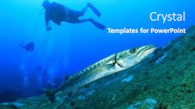  Presentation with divers - Cool new PPT theme with great barracuda fish and scuba divers backdrop and a light gray colored foreground