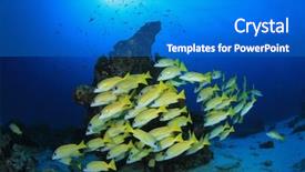  Presentation with fish ocean - Slides having great barrier reef - fish school yellow snappers background and a teal colored foreground
