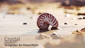  Presentation with sea shell - Beautiful presentation design featuring great-british-summer-beach backdrop and a soft green colored foreground