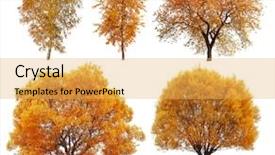  Presentation with trees - Slide deck having great collection of autumn trees background and a yellow colored foreground
