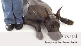  Presentation with reflection - Slide deck with plan b arrows showing contingency background and a dark gray colored foreground