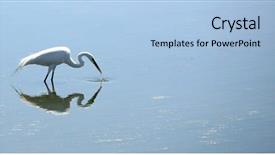  Presentation with huntington - Slide deck featuring seafood variety on white plate flat lay top view on white triangle plate with different seafood products on wooden background background and a gray colored foreground