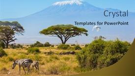  Presentation with savannah - Cool new PPT layouts with great-egret-flies-over backdrop and a light blue colored foreground