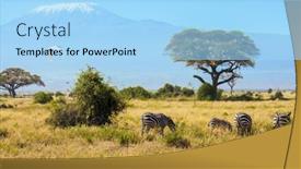  Presentation with grazing - Beautiful PPT layouts featuring great-egret-flies-over backdrop and a light blue colored foreground