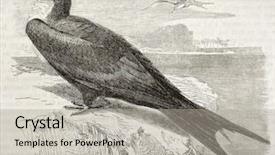  Presentation with coal mining great wheel - Colorful slides enhanced with great frigatebird old illustration fregata backdrop and a  colored foreground