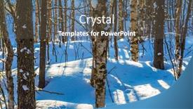  Presentation with forest morning - Presentation design featuring drifting - great frosty morning background and a tawny brown colored foreground