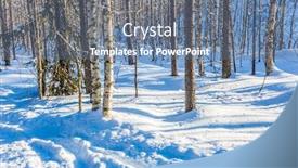  Presentation with forest morning - Slides enhanced with drifting - great frosty morning background and a ocean colored foreground