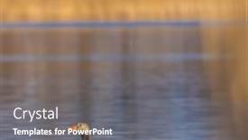  Presentation with czech republic - Presentation theme enhanced with great-goose-anser-anser-southern background and a  colored foreground