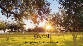  Presentation with climate - Presentation theme featuring great harvest - fantastic views of the garden background and a  colored foreground