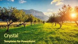  Presentation with sunlight - Amazing presentation theme having great harvest - fantastic views of the garden backdrop and a tawny brown colored foreground